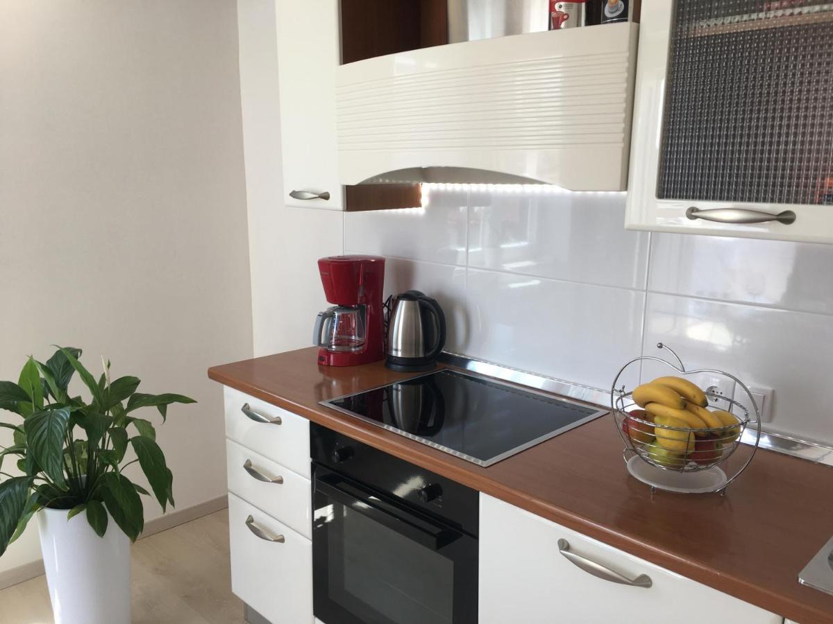 Apartments Roberta Novigrad  Exterior photo